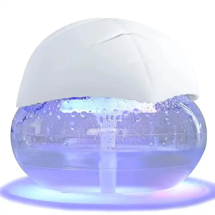 Portable Room Air Purifier and Humidifier